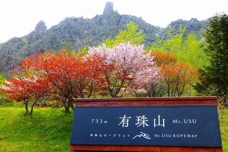 With Lunch│Mt. Usu Ropeway, Otaru & Noboribetsu Day Trip