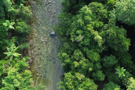 Private Luxury Half Day Daintree and Crocodile Cruise Tour