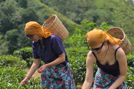 Sri Lanka Private Car Tour 3 Days