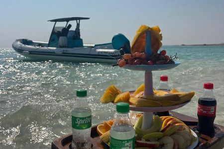  Speed Boat 4 Hours Dolphin House ,Snorkeling, White Island 