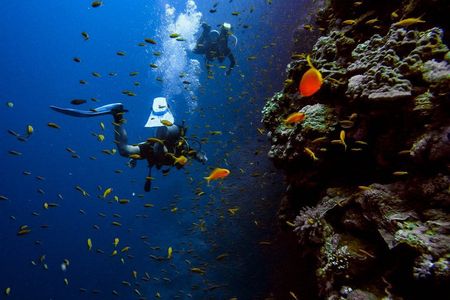 Try Scuba Diving: Boat Experience & Underwater Tunnels