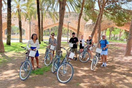 Valencia by Bike Old Town Turia Park and City of Arts Highlights
