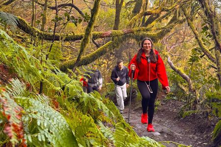 Anaga Mountains and Enchanted Forest, Tenerife Hiking Tour