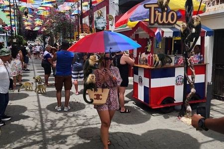 Puerto Plata: Monkey Tour, Fortress and Historic Center
