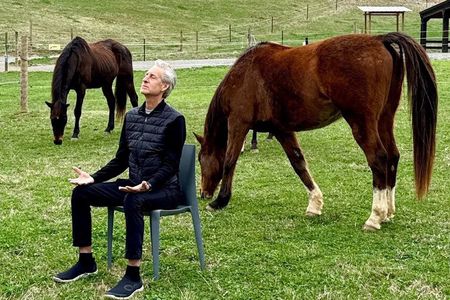 Meditation with Horses in Asheville