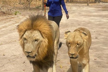 Fathala Wild Life Reserve Safari