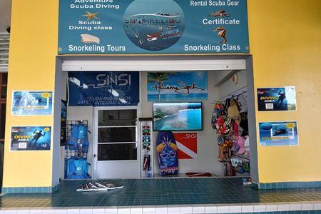 Snorkeling Tour at Cerro Gordo Beach Vega Alta Puerto Rico
