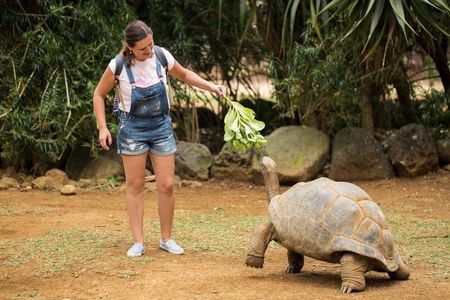 Nature Discovery Tour: Dolphins, Tortoises, the Wild South & More