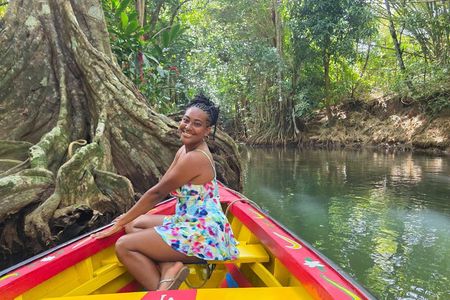 Northern Treasures of Dominica: River | Falls & Beach Tour