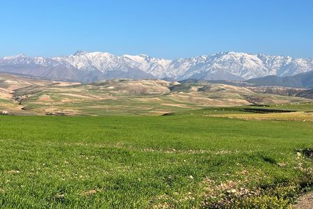 Authentic Atlas & Lalla Takerkoust & Agafay Desert Tour