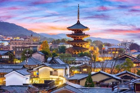 Kyoto & Nara customizeable Luxury Private Day Tour Driver Guide