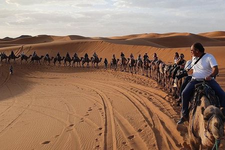 3 Day Marrakech Desert Adventure Dunes Kasbahs and Camel Trekking
