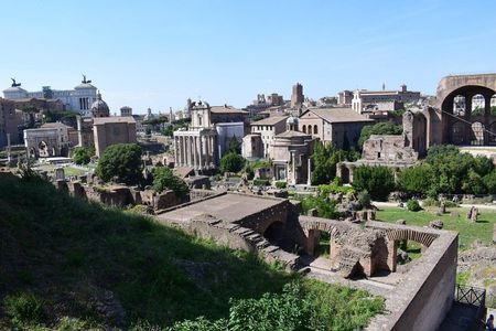 Private Tour of Palatine Hill and Roman Forum in Rome