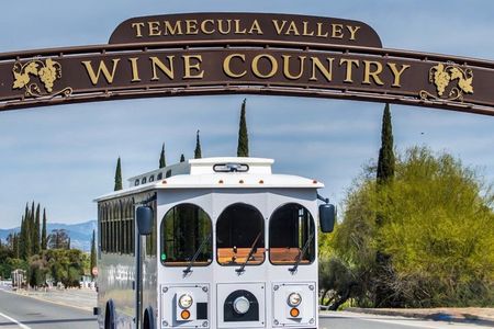 Luxury Temecula Wine Tour with Tastings & Charcuterie included
