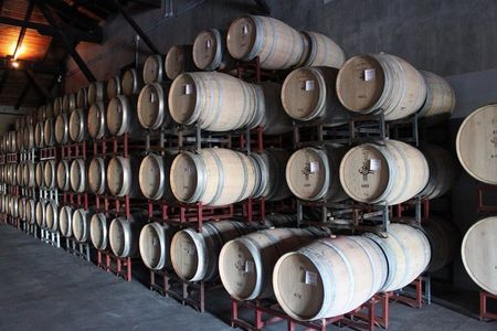 Private Maule Wine Experience Erasmo Winery and Lunch