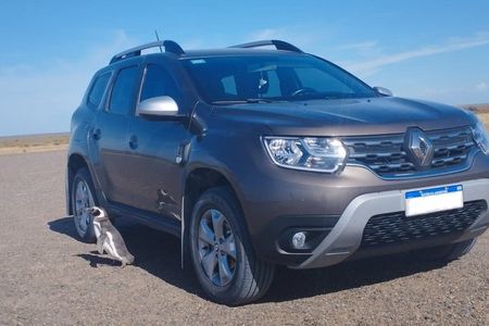 Shore Excursion Peninsula Valdes or Punta Tombo - Private Car 