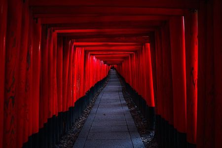 Kyoto & Nara Highlights: Private Alphard Tour with Guide & Driver