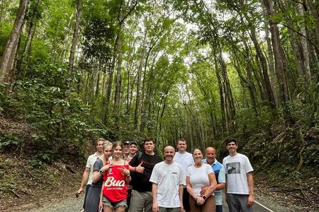 Full Day Private Tour to Bohol Countryside From Cebu City