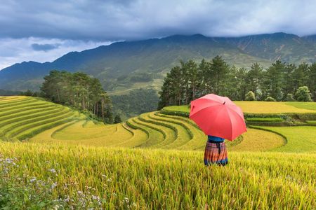 Vietnam Signature 13 Days - Hanoi, Sapa, Halong Bay, Ho Chi Minh