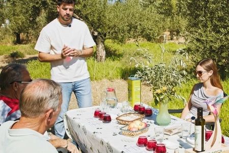 Córdoba : Visit to organic olive groves with tasting and tasting