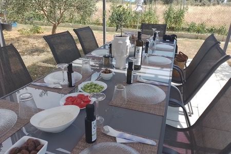 Oliveoil Seminar with Tasting in Metaggitsi Chalkidiki