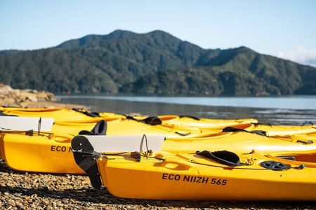 Full-Day Guided Sea Kayak Trip from Picton