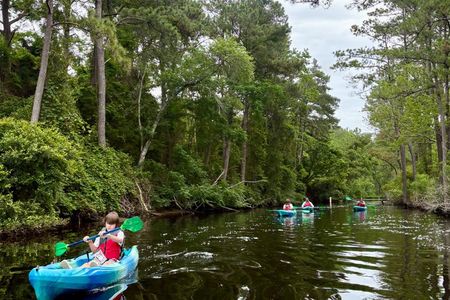 Roanoke Island Kayak Tour