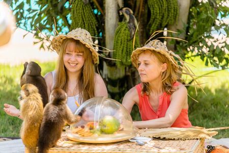 Monkey Experience Punta Cana, Interact with 5 species of Monkeys