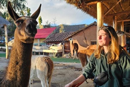 Cusco in One Day: Inca Ruins, Horse Riding & Alpaca Farm