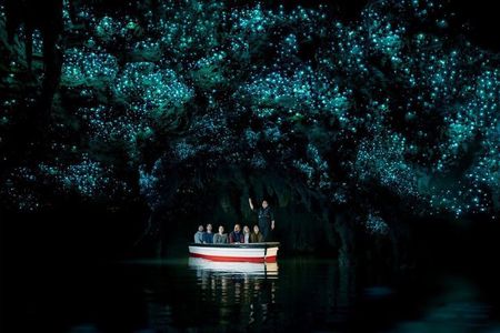 Waitomo Glowworm Caves Guided Tour