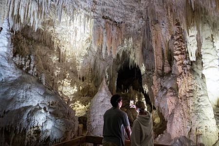 1-Hour Guided Tour of Aranui Cave Waitomo