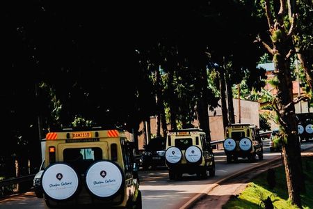 3 Days Gorilla & Golden Monkey Trekking experience Safari.