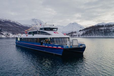 Fjord Cruise from Tromsø Explore Arctic Landscapes and Wildlife