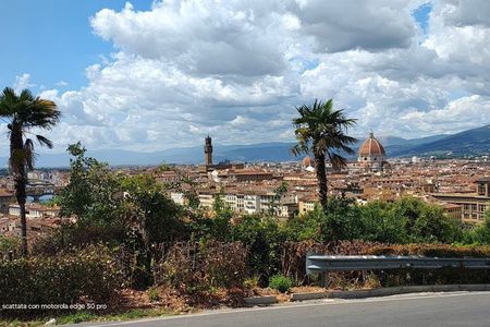 Golf Cart Tour in Florence Michelangelo&Panoramic Hills