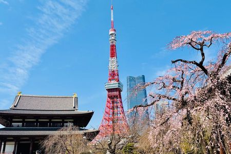 Tokyo Private Full-Day Sightseeing Tour by Car with Guide