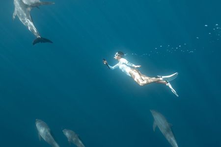 Private Swim with Dolphins Snorkeling and White Island Hurghada