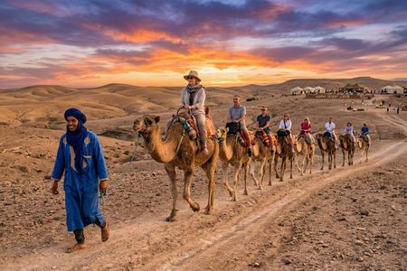Marrakech: All-In-ONE Agafay CAMEL , DINNER, SHOW & TRANSPORT.