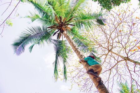 Zanzibar Spice Farm & Stone Town guided Tour (Lunch included)
