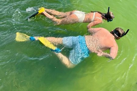 4 Hour Egmont Key Island Tour With Dolphins & Snorkeling Included