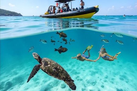 Turtle Canyon Snorkel Adventure - Small Group 6 Passengers