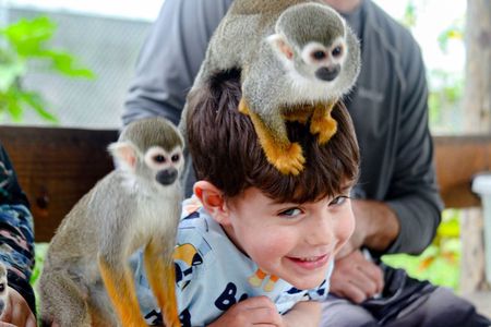 Puerto plata: Waterfalls Monkeys and beach tour Pick up included