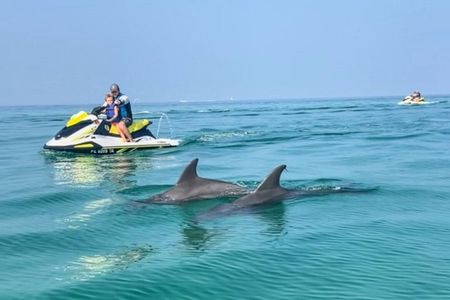 2 Hour Jet Ski Dolphin Tour to Shell Island