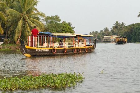 Kochi: Kumarakom Day Trip with Shikara Cruise & more