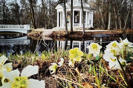 Sea Resort Jurmala near Riga Private Tour