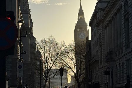 Early Morning Guided Walking Tour in London