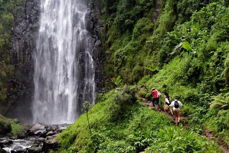 Materuni Waterfall, Chemka Hot Springs, & Coffee Tour
