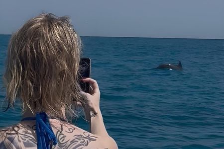 100%PRIVATE Speedboat Trip– Dolphin House,Snorkeling,White island