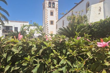 Tour Discover Fuerteventura