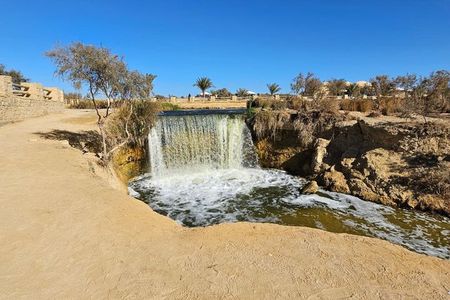 Fayoum Oasis Safari day tour Sandboarding, Breakfast, lunch& Boat