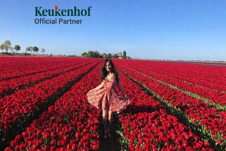 Keukenhof Tulip Tour Small Group Hidden Windmills and Delft